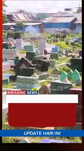 perang kelompok sampai merenggut nyawa dan membakar rumah warga #CapCut  #beritaviral  #beritaterkini  #makassar  #perangkelompok 