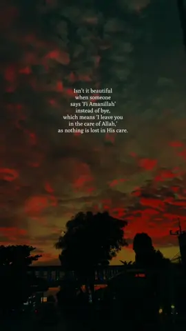 Isn’t it beautiful when someone says ‘Fi Amanillah’ instead of bye, which means ‘I leave you in the care of Allah,’ as nothing is lost in His care. #bye #allah #quotesislam #islamicreminder #sunset 