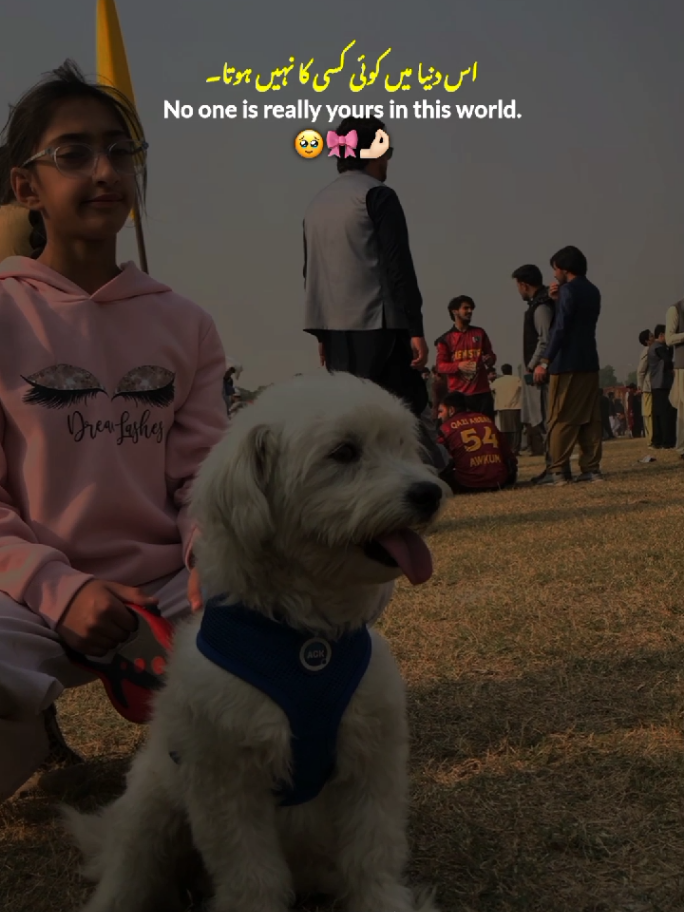 Live for Yourself 🌼💓 || Motivational quotes 💗 || Lines 💗 || AWKUM Sports ✨ || Urdu Quotes 🎀 || Status Video ✨ #fyp #motivation #quotes #statusvideo #awkum 