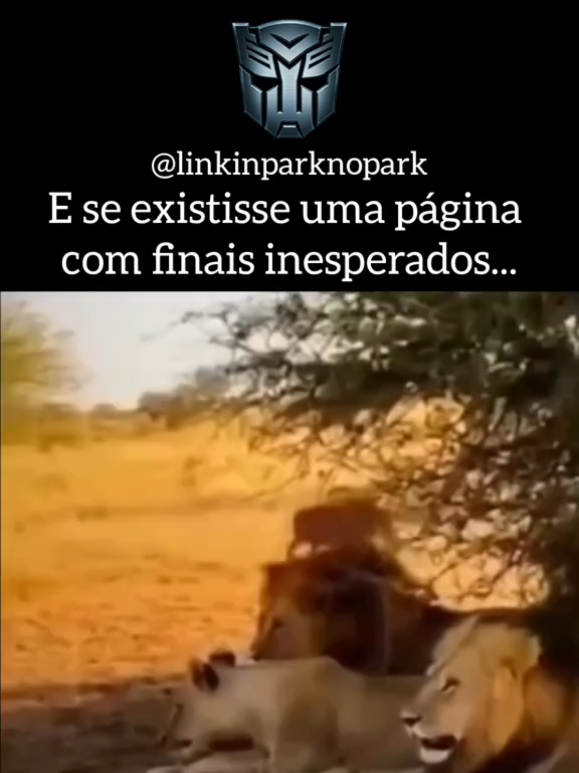 eles não acreditam no que estão vendo kkk #transformers #linkinpark #final #inesperado #meme 