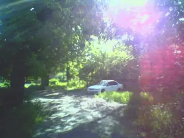 #щенки - день отца  тгк - w0wwui автор звука x_dkk   #папа #деньотца #щп #recommendations #viral #music #lyrics #vibes #foryou #song #text #on #blur #fyp 