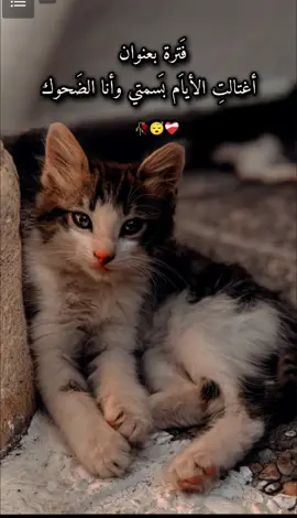 فترة بعنوان أغتالت الأيام بسمتي وأنا الضحوك ❤️‍🩹🥀😴