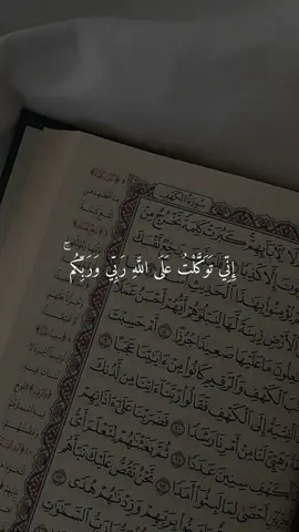 #قران #قران_كريم #ماهرالمعيقلي #قران_كريم_ارح_سمعك_وقلبك #quran 