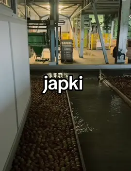 japki🔛🔝 #japki #japuszka🍏🍎 #japka 