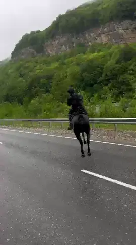 мерин Алтай Ма Ша Аллах!#fyr #рек #къ #лошадь 