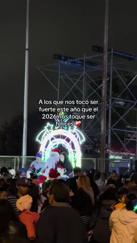 #navidad #nochebuena #añonuevo #merrychristmas #fyp