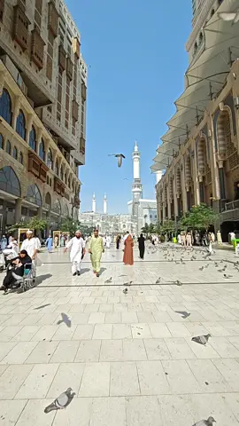 Masjidil Harram, Makkah اَللَّهُمَّ صَلِّ عَلٰى سَيِّدِنَا مُحَمَّدٍ #Allahﷻ #nabimuhammadﷺ #makkahmadinah #umrahhaji #islam