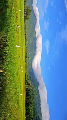 Mùa đẹp nhất trong năm ở Tri Tôn. #videoviral #angiang #triton  #chill #ảnhđẹp 