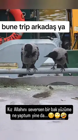 #kesfet #öneçıkar #tiktok 