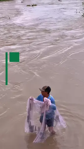 Một chiếc xuồng, một mẻ lưới, một mùa thương nhớ #mientay #muanuocnoi #angiang  #mekongdelta #fyp 