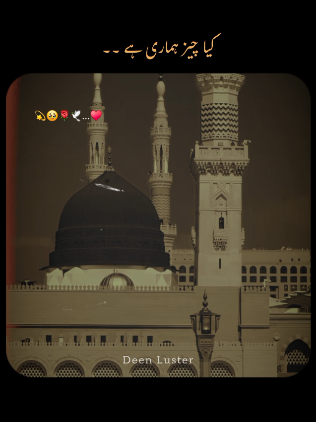 kya chez peesh kru tujh ko 🥹 #Naat #madina #fypageシ #foryoupage❤️❤️ #videoviral 