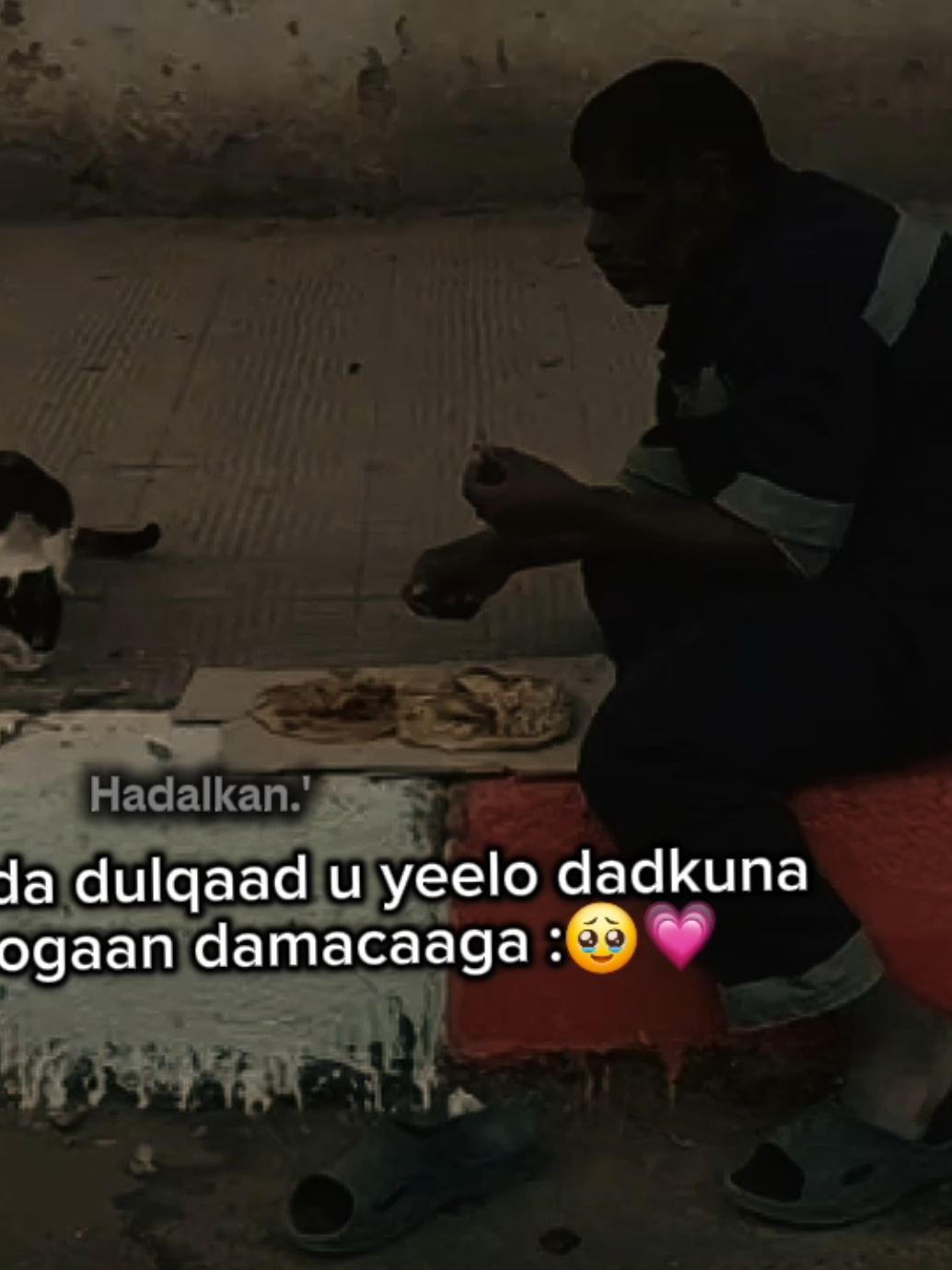 yey ogaan damacaga 🤌🏼🥹💗 ... Love & Follow Me 💔🤌🏼 #fyp #viewsproblem💔😔 #foryoupage 