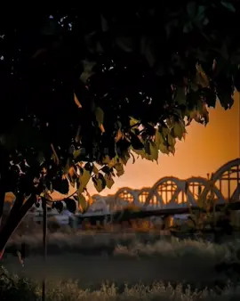 سادە بۆ ئزیزز🕊️🌷…@TikTok @For You #تەقتەق #گێنجیم🔥 #turkey #actives? #foryou 