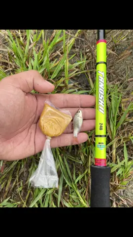 umpan rasbora untuk waderan #mancing #mancingwader #microfishingindonesia #umpanwader #rasbora 