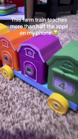 Colors. Animals. Numbers. Shapes. Matching. The ultimate toddler toy #giftforkids #montessori #holidaygiftguide #BFCM #TikTokShopBlackFriday 