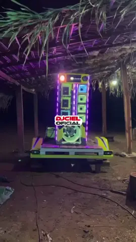 AO SOM DO NOVO HIT🔥🚀 @bl teclas o minino diferent #piseiro #caixabob #bob #piseironotiktok #viralvideo 