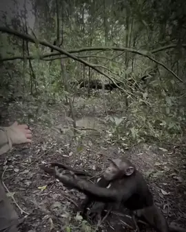 Smarter Than Some People.🦍#gruzteam @Husuyn Follow.🖤