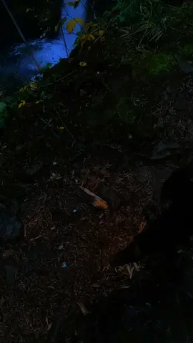 Moonlit Falls #waterfall #darkfantasy #foryoupage #darkaesthetic #fantasy 