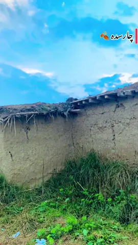 kaly 🍂 #foryou #foryoupage #charsadda #charsaddacity #naturevibes18 