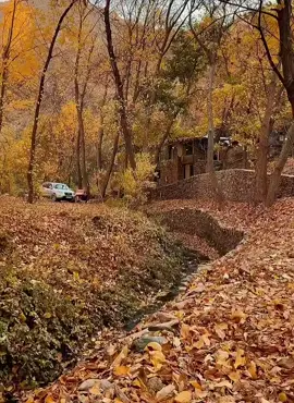 #aromagazine #hawrami #hawraman #CapCut 