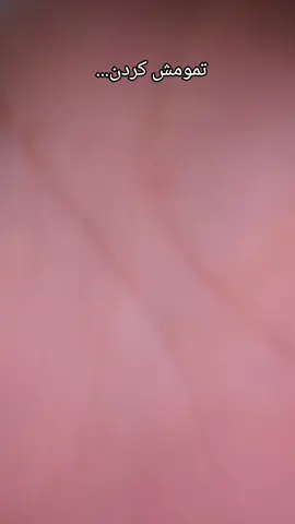 ذوققققق #فریوووو_برووو_جونن_جدت  #فریوو_دیدی_کامنت_بزار_قشنگم  #سیکتیر_کن_فوریو  #فریو_بروتاجرت_ندادم  #گمشوووو_فریو 