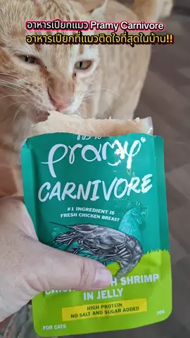 อาหารเปียกแมว pramy carnivore แมวที่บ้านติดใจ!! #อาหารเปียกแมว #pramycarnivore #แมวติดใจ #ทาสแมว @ออเจ้าคนรักแมว ♥️♥️♥️ @ออเจ้าคนรักแมว ♥️♥️♥️ @ออเจ้าคนรักแมว ♥️♥️♥️ 