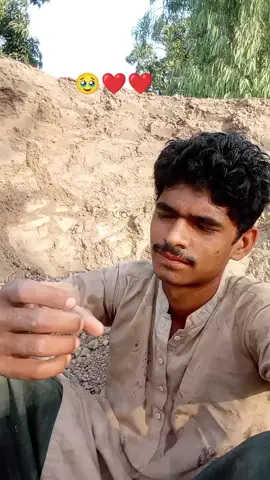 Ha Ha Ha Ha Ha Ha Ha At Pasadena PlayhoUse dogs behaves like a baby video Hillcrest pumpkin roll Trends for couples pegion shok #creatorsearchinsights #fypdong #unfreezemyacount #fouryoU #foryoupage❤️  ❤️