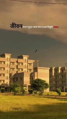 জীবন হলো মৃত্যুর থেকে দার নেওয়া কিছু টা সময়।