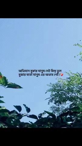 অভিমান বুঝার মানুষ নেই কিন্তু ভুল  বুজার মতো মানুষ এর অভাব নেই !❤️‍🩹#foryou #trending #banglacaption #popularvedio #captionvedi 