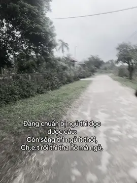 #vanky🦆 #ddnxuhuong #xuhuong #tamtrang 