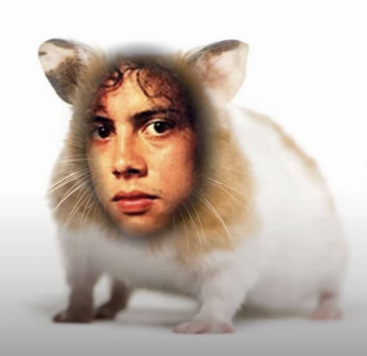 I might be a bit addicted to kirk hamster #fypシ゚viral🖤tiktok #fyp #hamsters #kirkhammett #edit 