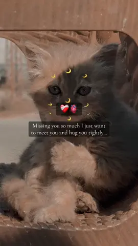 #foryoupage❤️❤️ 