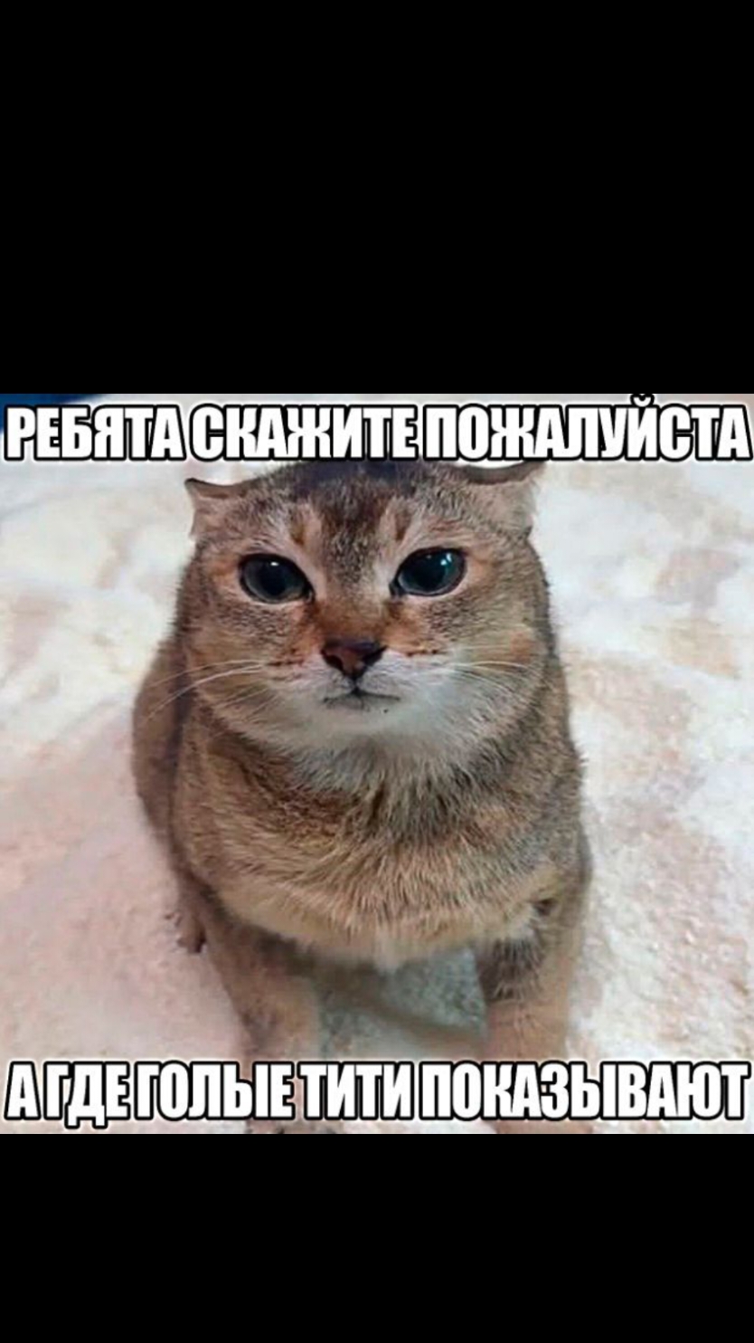 жиза? было? у меня было  #мед #мемы #медицинский 