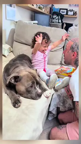 Dad come on with Mino 🥰 #dog #pet #baby #PetsOfTikTok #dogsofttiktok 