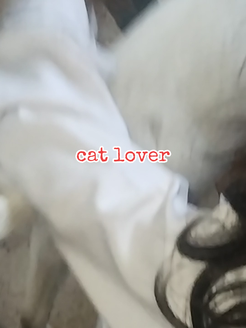 #creatorsearchinsights #zbwww @CAT 