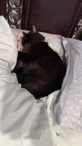 #mi milagro del cielo 