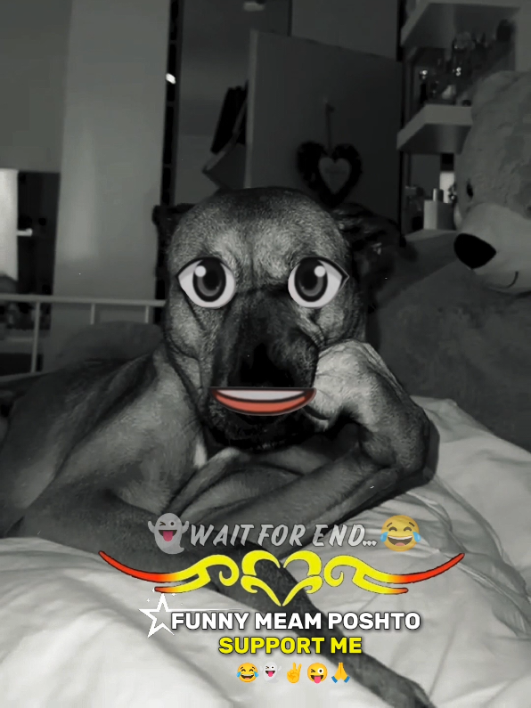 BIA DE MOBILE PA LAS KE DY NIWALI DE ...........😂👻✌️ WAIT FOR END 🔚 TIKTOK PROMOTE MY THIS VIDEO FOR 500k VIEWS 🙏😖❤️#POSHTOFUNNY #MEAM  #FUNNYVIDEO #FORYOU #500kviews 