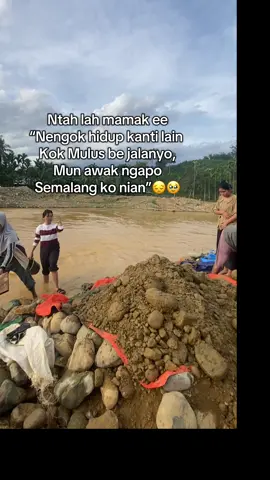 Info tempat nebeng#lagudaerahjambi#bungoustraydogs #fyppppppppppppppppppppppp #fypbrandatiktok 