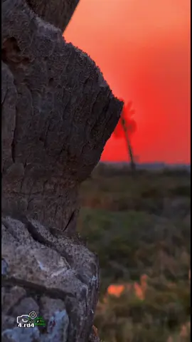 صباح العماري📸انته لو گايلي ماريدك اروح💔#تصويري #تصويري_احترافي_الاجواء👌🏻🕊😴 #اغاني #جواد الساعدي#موال حزين