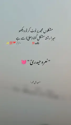 Ali ع Haq ✨❣️💯  #fypviral #tranding #alimola #fyp #viral 