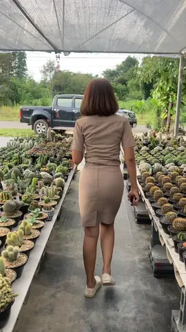 แวะซื้อดอกหนามๆก่อนกลับบ้านกัน บฃ🌲ยิ้มแย้ม นัทนัท😂