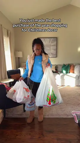 Trying to make our house a home I truly don’t see the issue 😂😂#hobbylobby #christmasdecor #fyp #shopping 