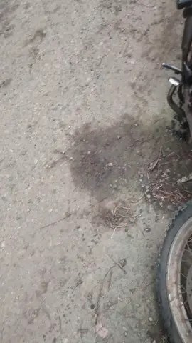 ga tau bisa gtu  🗿#bengkel #fyp