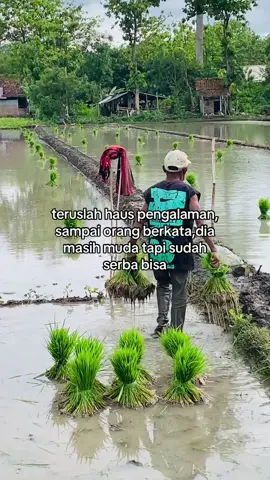 #petaniindonesia🇮🇩🇮🇩🇮🇩🌿🌿 #petanimuda #katakatamotivasi #foryoupage #masukberanda 