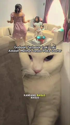 #CapCut di geboyy cing ikutan 😁😁🤣🤣                                          #fyppppppppppppppppppppppp #tarik 