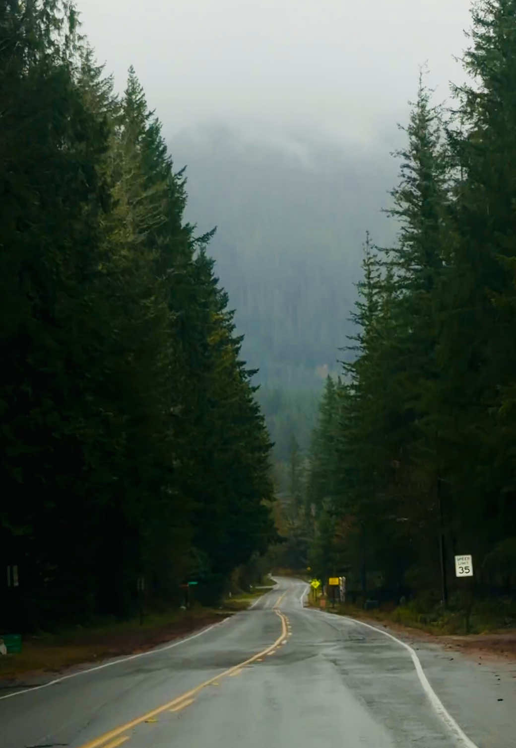 When Washington roads feel like a scene from a movie… 🌫️🌲 Misty hills, winding roads, and that perfect PNW vibe. #WashingtonState #PNWVibes #ScenicDrive #MistyHills #NatureLovers