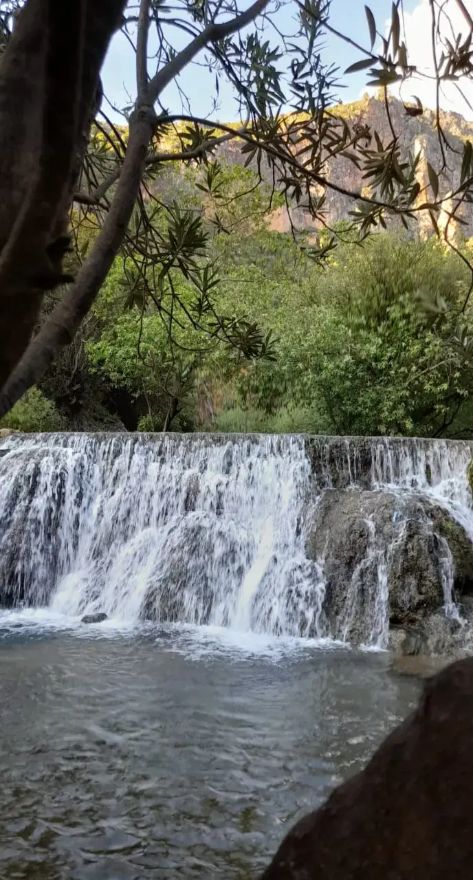 #اللهم_صل_على_محمد_وآل_محمد 