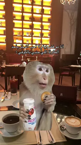 😅#اكسبلور #كوفيهات_الرياض #ترند_تيك_توك #الرياض #CapCut 