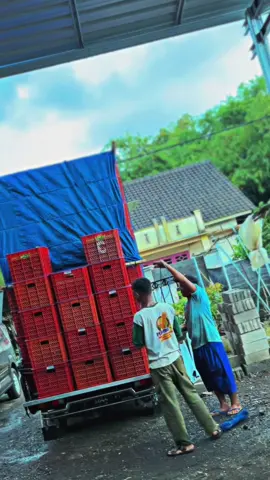 bersama aktornya kang widd kidul ra gayor, loran ra ponjo slorr, meluncur situbondo🚀#l300banyuwangi #supirpickup #pejuangrupiah #l300 #fypppp 