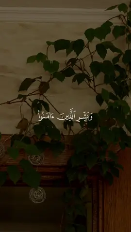 وهم فيها خالدون 🩵 #قرآن #راحة_نفسية #قران #احمد_العجمي #quran